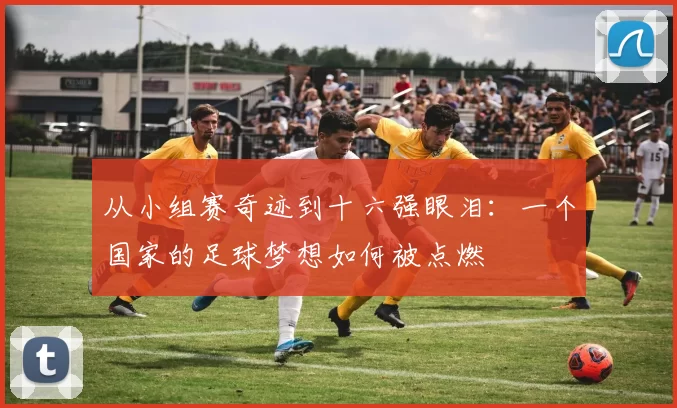 从小组赛奇迹到十六强眼泪：一个国家的足球梦想如何被点燃