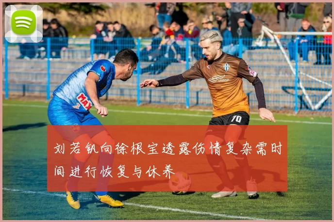 刘若钒向徐根宝透露伤情复杂需时间进行恢复与休养