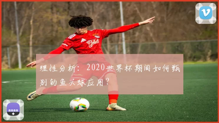 理性分析：2020世界杯期间如何甄别钓鱼买球应用？