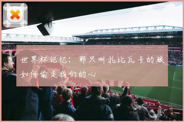 世界杯记忆：那只叫扎比瓦卡的狼如何偷走我们的心
