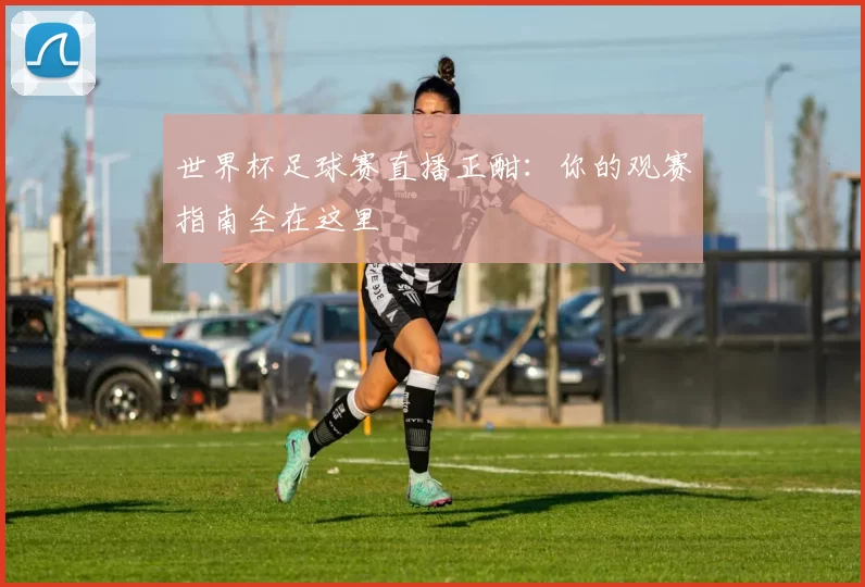 世界杯足球赛直播正酣：你的观赛指南全在这里