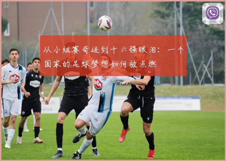 从小组赛奇迹到十六强眼泪：一个国家的足球梦想如何被点燃