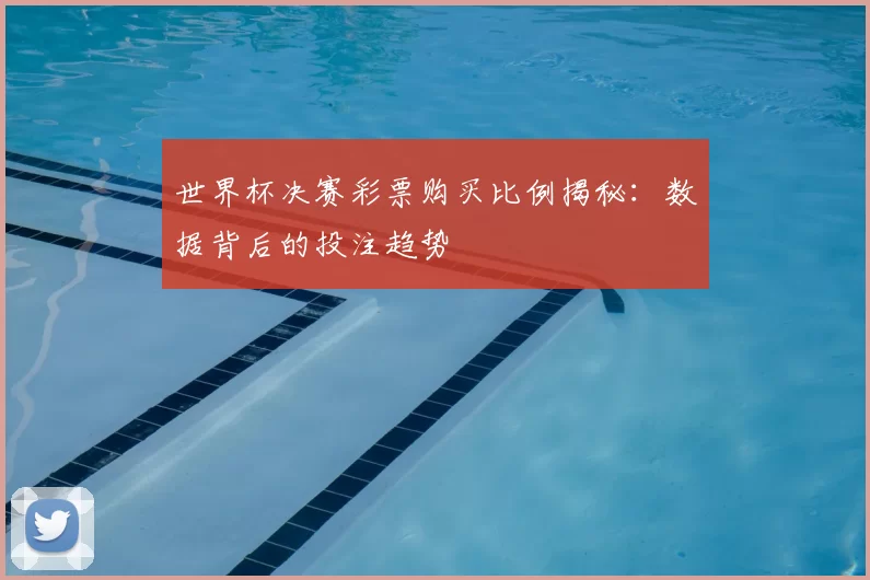 世界杯决赛彩票购买比例揭秘：数据背后的投注趋势