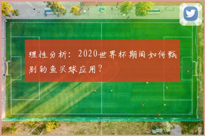 理性分析：2020世界杯期间如何甄别钓鱼买球应用？