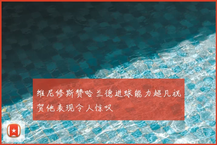 维尼修斯赞哈兰德进球能力超凡祝贺他表现令人惊叹