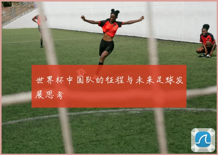 世界杯中国队的征程与未来足球发展思考