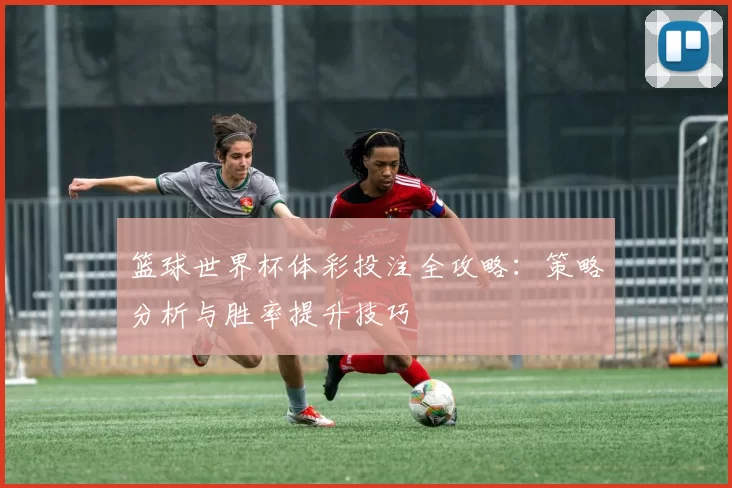 篮球世界杯体彩投注全攻略：策略分析与胜率提升技巧