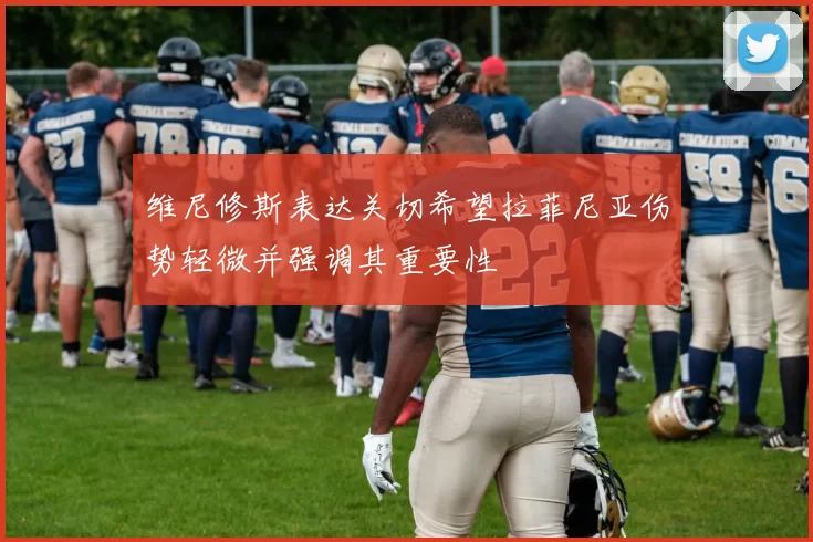 维尼修斯表达关切希望拉菲尼亚伤势轻微并强调其重要性