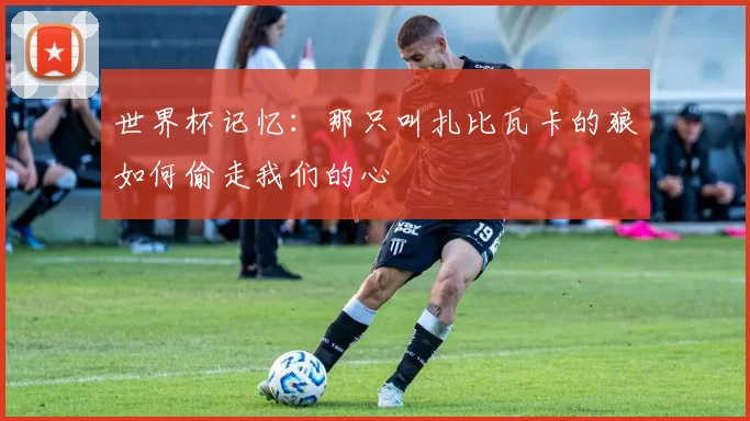 世界杯记忆：那只叫扎比瓦卡的狼如何偷走我们的心